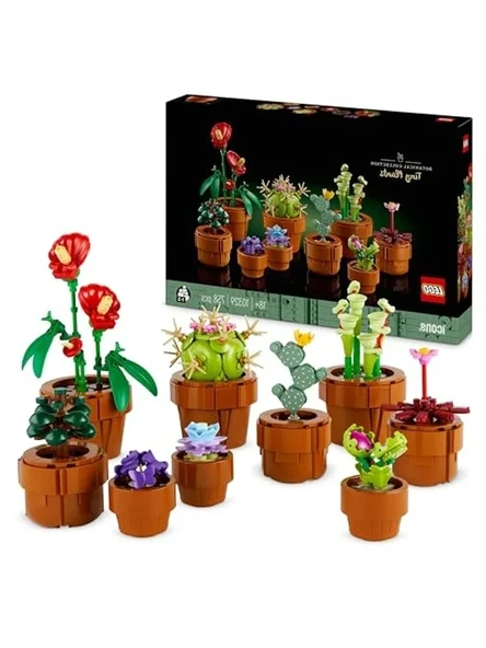 9 Farklı Yapay Bitki ile Terakota Saksıda Yetişkinler İçin Set ürün görseli 1