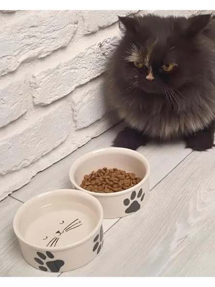 Doğal Hijyenik Seramik Kedi Mama ve Su Kabı Seti (2 Adet) ürün görseli 1