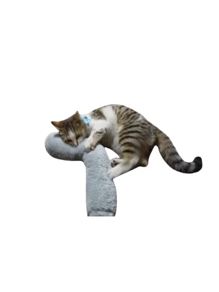 Kedi Sarılma Yastığı Uyku Oyuncağı - Otlu, 30 cm Peluş (Gri) ürün görseli 1