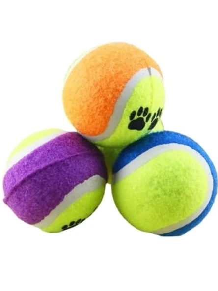 Dayanıklı Tenis Topu - Köpek Eğitim Oyuncağı (4 Adet) ürün görseli 1