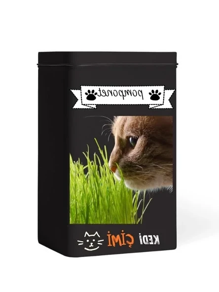 Yıl Boyu Yeşil Kedi Çimi - Pomponet ürün görseli 1
