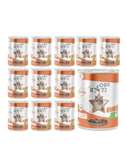 Somonlu Jöleli Yetişkin Kedi Konserve Maması 400 Gr x 12 Adet ürün görseli 1