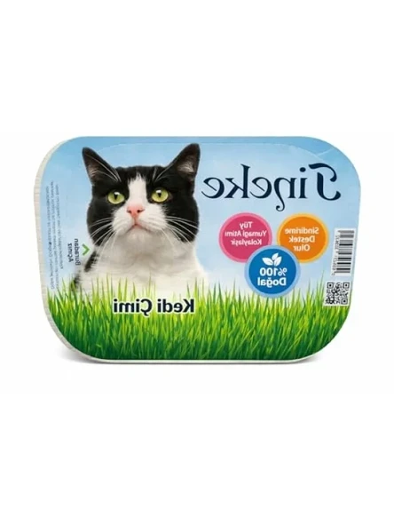 %100 Doğal Fileli Kedi Çimi - Tüy Yumağı Önleyici ürün görseli 1