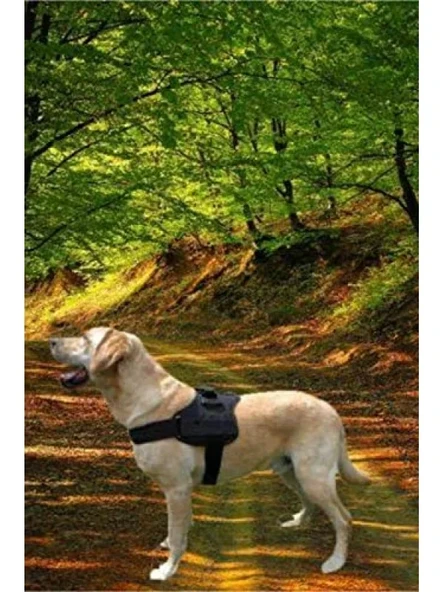 Büyük Irk Köpek İçin Rahat Eğitim Göğüs Tasması ürün görseli 1