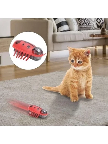 Hareketli Uğur Böceği Şeklinde Kedi Oyuncağı ürün görseli 1