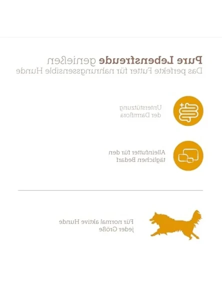 Kanatlı Konserve Köpek Maması 400 Gram - Resim 3