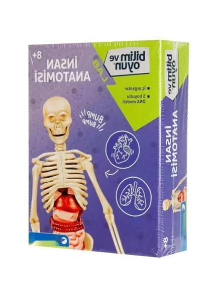Eğitici İnsan Anatomisi Seti ürün görseli 1