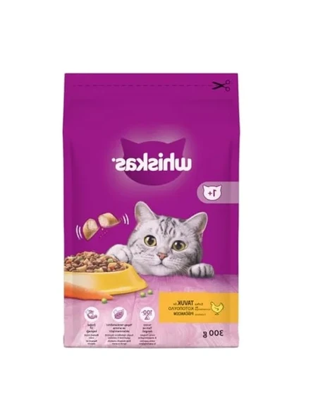 Tavuklu Adult Kedi Maması 300 Gr - Dengeli Beslenme ürün görseli 1
