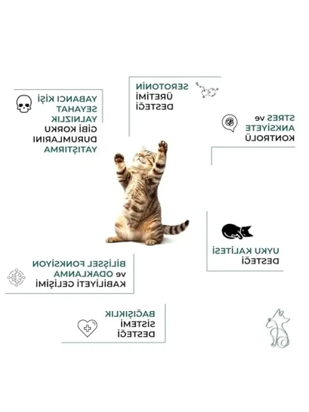 Bitkisel İçerikli Sakinleştirici Kedi Maltı 100 Ml - Resim 3