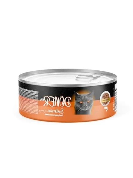 Somon Balıklı Yetişkin Kedi Maması, 70 Gr ürün görseli 1
