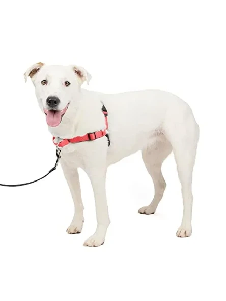 Konforlu ve Güvenli Köpek Koşum Takımı ürün görseli 1