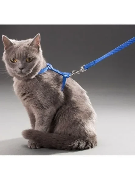 Ayarlanabilir ve Konforlu Kedi Tasması - 110 cm ürün görseli 1