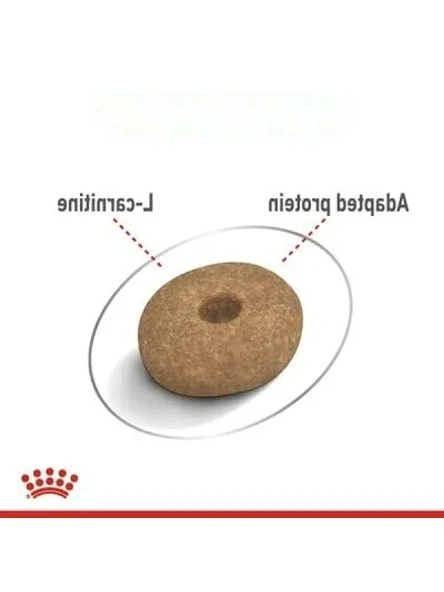 Mini Light Weight Köpek Maması 3 kg - Resim 3