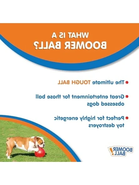 Dayanıklı Köpek Oyun Topu 10 cm - Resim 2