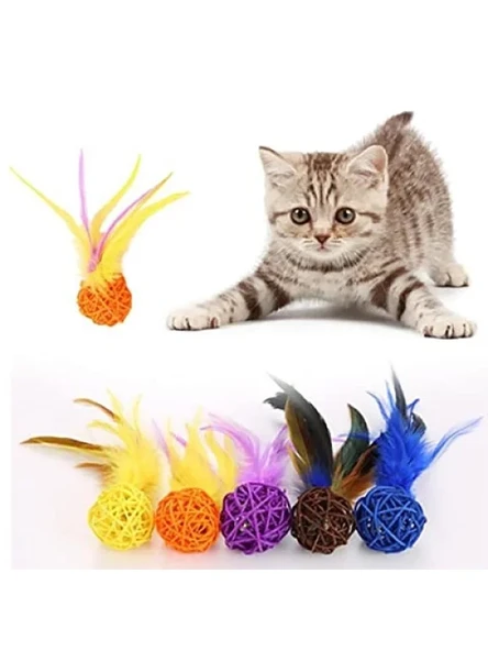2'li Rattan Renkli Peluş Tüy Kedi ve Köpek Oyuncakları ürün görseli 1