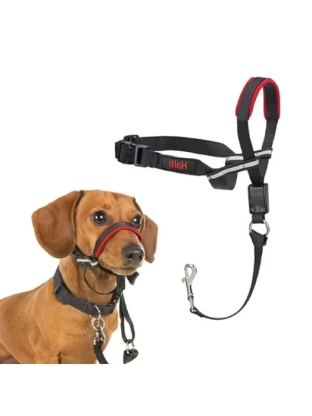 Ayarlanabilir Yansıtıcı Baş Tasması ile Küçük Köpekler için Eğitim Yardımcısı ürün görseli 1