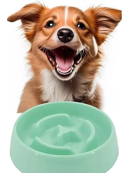 Yavaş Besleyici Kedi Köpek Mama Kabı, 375 ml ürün görseli 1