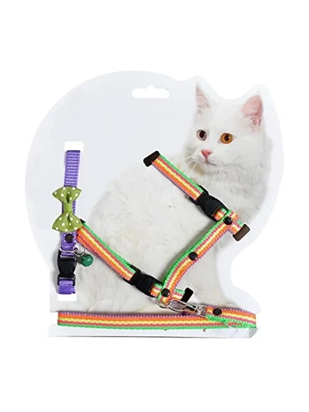 Puantiyeli Kedi Göğüs ve Bel Gezdirme Takımı ürün görseli 1