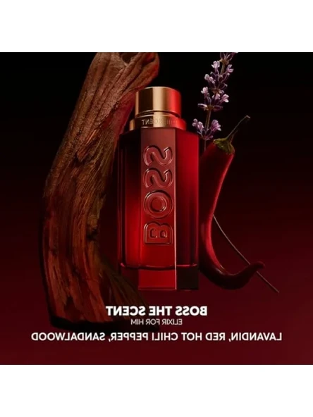 Yoğun Amberli Erkek Parfümü - 100 ml - Resim 3
