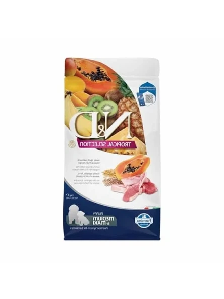 Kuzu Etli ve Tropikal Meyveli Orta ve Büyük Irk Yavru Köpek Maması - 2 Kg ürün görseli 1