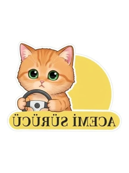 Sevimli Kedi Temalı Renkli Araba Etiketi ve Sticker Seti ürün görseli 1