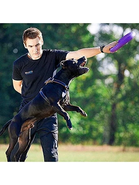 Köpek Eğitim Halkası - 2 Adet Set - Resim 3