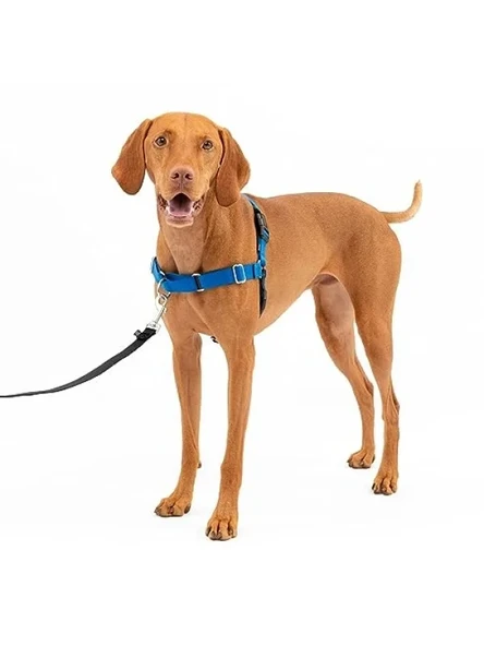 Easy Walk Köpek Koşum Takımı ürün görseli 1