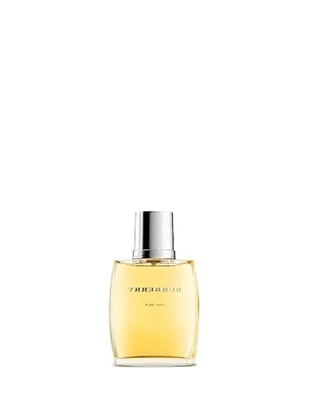 Erkek Parfümü - Ferah ve Dinamik Koku 100 ml ürün görseli 1