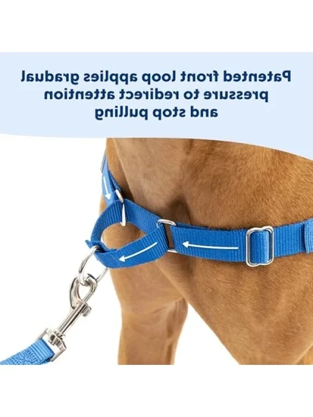 Easy Walk Köpek Koşum Takımı - Resim 3