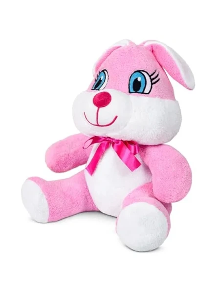 Renkli Peluş Ayıcık, 20 cm ürün görseli 1