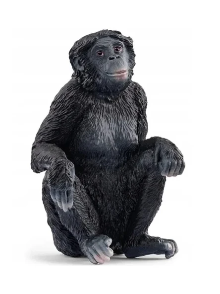 Doğayı Keşfet: Bonobo Figürü ürün görseli 1
