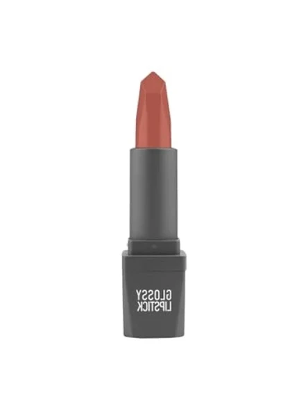 Uzun Süre Kalıcı Nemlendirici Parlak Ruj - 308 Terracotta Nude ürün görseli 1
