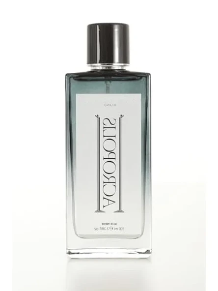 Erkek Parfümü - 100 ml, Ferah ve Çekici Koku ürün görseli 1