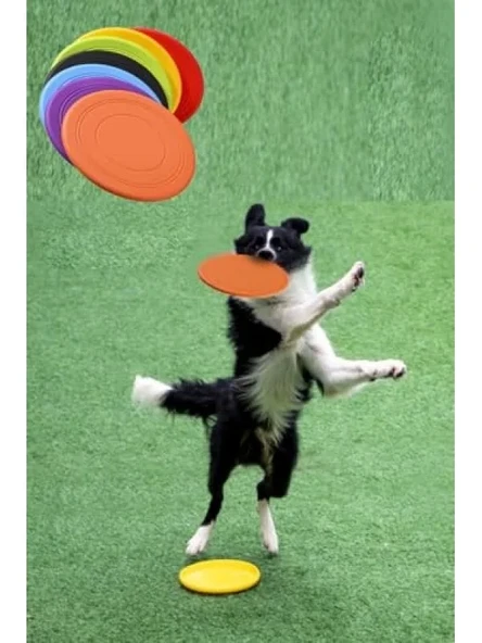 Dayanıklı Silikon Frizbi Köpek Oyuncağı 17.5 cm - Esnek ve Güvenli ürün görseli 1