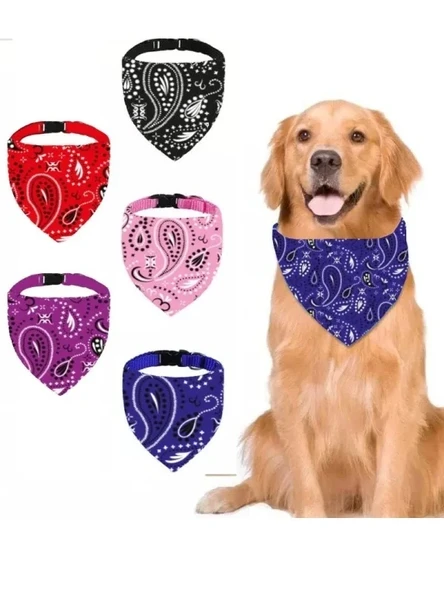 Büyük Boy Köpekler için Mavi Renkli Tokalı Boyun Tasması ürün görseli 1