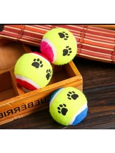 Eğlenceli Köpek Eğitim Topu - 6,5 cm ürün görseli 1