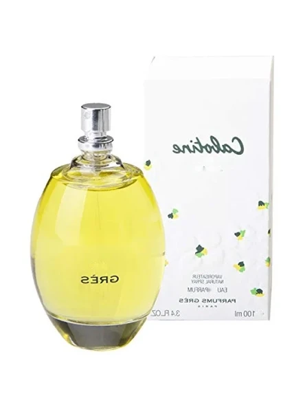 Kadın Parfümü - Edp 100 ml ürün görseli 1