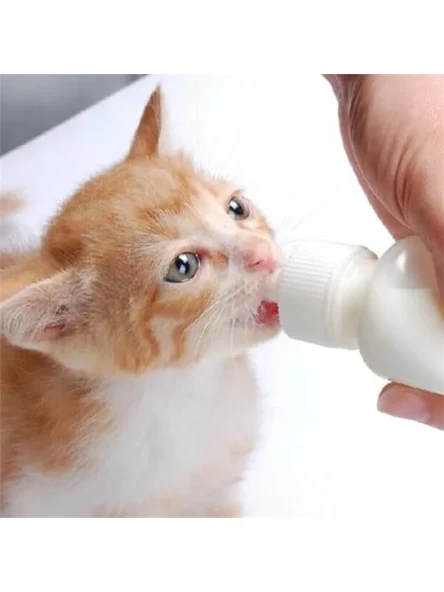 Yavru Kedi ve Köpekler İçin 50 ml İki Emzikli Biberon ürün görseli 1