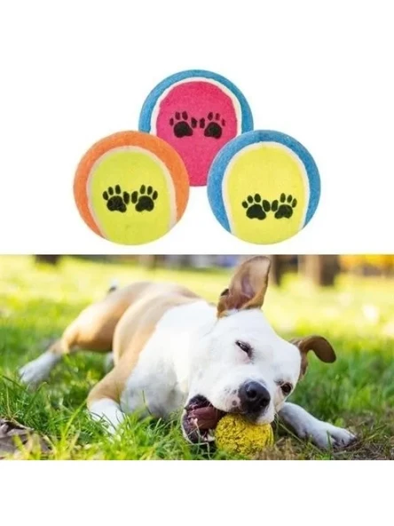3'lü Renkli Desenli Tenis Topu - Kedi ve Köpek Oyuncağı ürün görseli 1