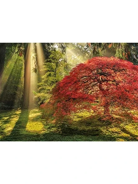 1000 Parça Puzzle - Yıldızlı Gece Temalı - Resim 2