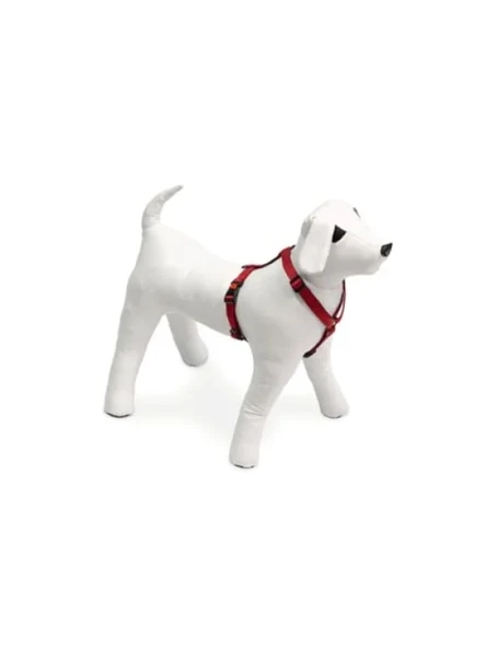 Kilitli Kırmızı Göğüs Tasması, 25-40 cm Arası Köpekler İçin ürün görseli 1