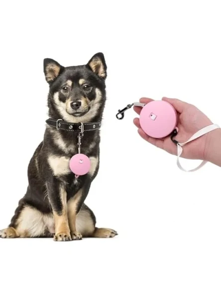 Geri Çekilebilir 2m Köpek Tasma - Küçük Irklar için ürün görseli 1