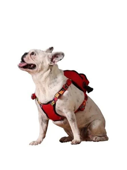 Ayarlanabilir Çantalı Göğüs Tasması ile Çok Cepli Köpek Sırt Çantası ürün görseli 1