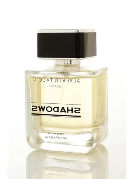 Erkek Parfümü - Ferah ve Çekici - 100 ml ürün görseli 1