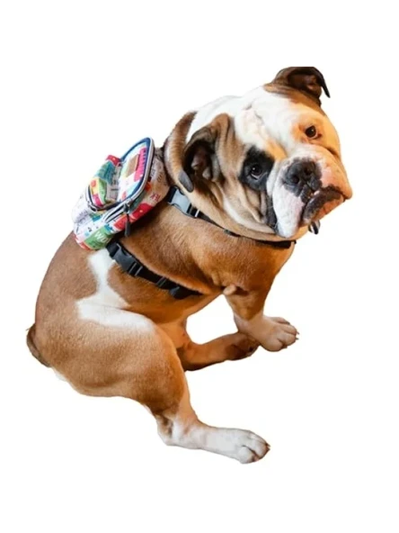 Su Geçirmez Köpek Sırt Çantası - 2’si 1 Arada Göğüs Tasması, Ayarlanabilir, Küçük ve Büyük Irklar ürün görseli 1