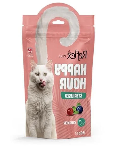 İnce Telli Kedi Köpek Tarağı 12 cm x 19 cm ürün görseli 1