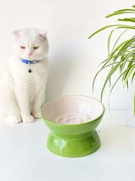 Seramik Yavaş Yeme Kedi Mama Kabı, Yeşil Renk ürün görseli 1