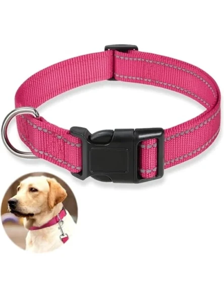 Reflektif Yumuşak Neopren Dolgulu Köpek Tasma - Ayarlanabilir, Rahat Kullanım (Pembe, L) ürün görseli 1