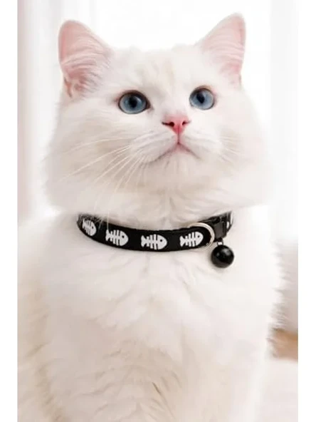 Siyah Zilli ve Ayarlanabilir Kedi Boyun Tasması - Kullanışlı ve Şık ürün görseli 1