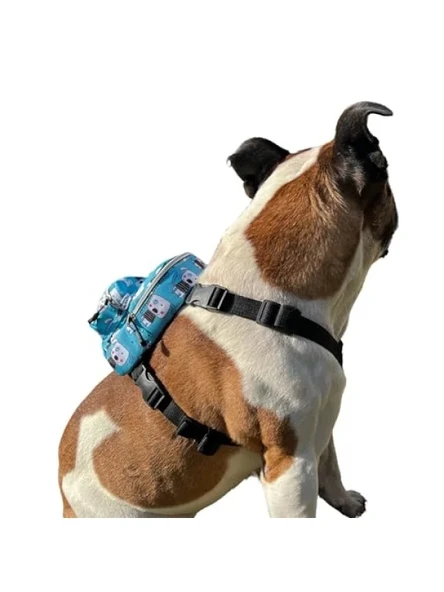 Geri Dönüştürülmüş Malzemeden Su Geçirmez Köpek Sırt Çantası ürün görseli 1
